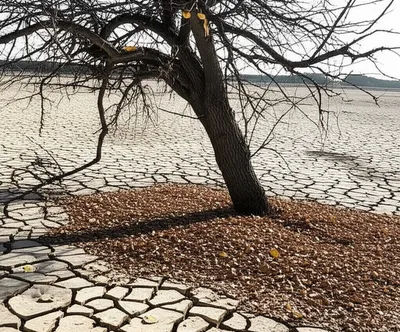 Illustration failed - Image 1