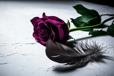 Illustration raunchy