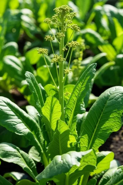 Illustration bolted - Image 1