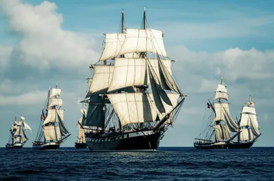 Illustration whelps - Image 1