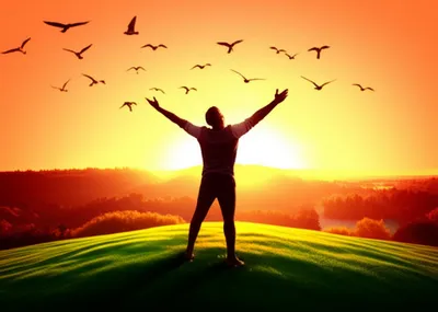 Illustration enthusiast