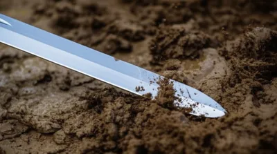 Illustration foiling - Image 1