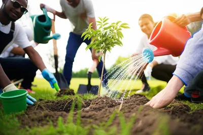 Illustration volunteered - Image 1