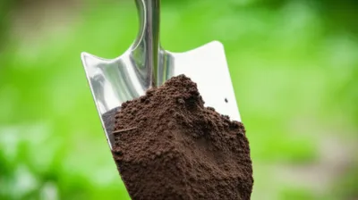 Illustration spit - Image 1