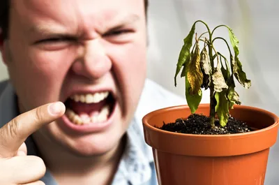 Illustration railed - Image 1