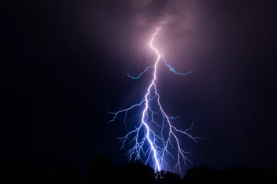 Illustration at - Image 1