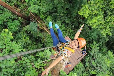 Illustration zipline - Image 2