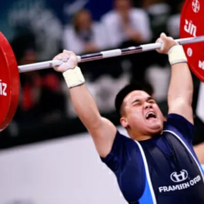 Illustration snatch - Image 1