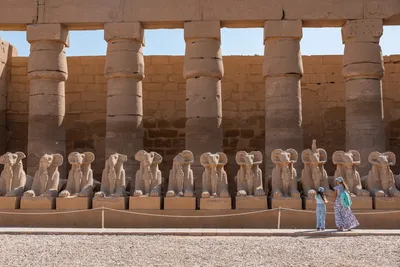 Illustration precincts - Image 2