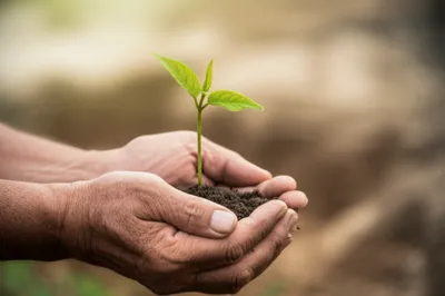 Illustration loved - Image 1