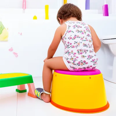 Illustration potty - Image 1