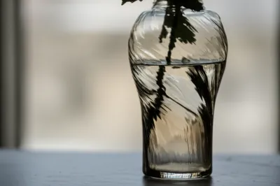 Illustration smoked - Image 1