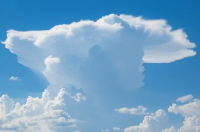 Illustration incus - Image 1