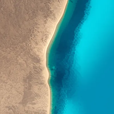 Illustration shore - Image 1