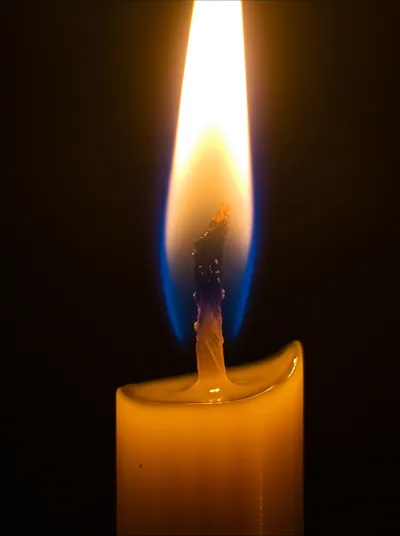 Illustration wicks - Image 2