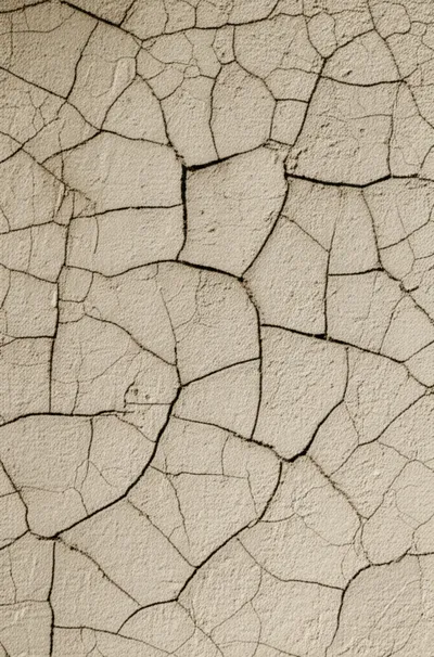 Illustration shelling - Image 1