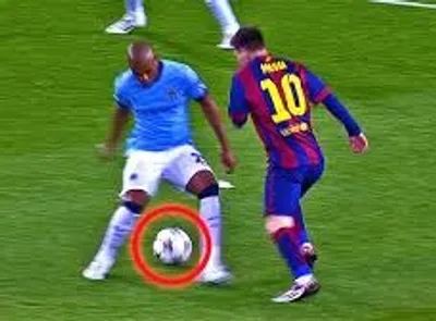 Illustration nutmeg - Image 2