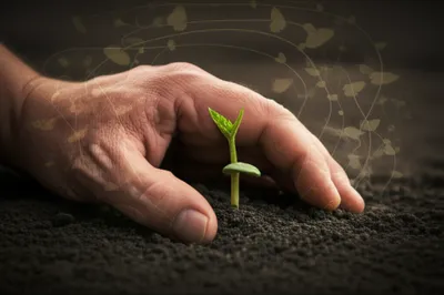 Illustration proprietary - Image 1