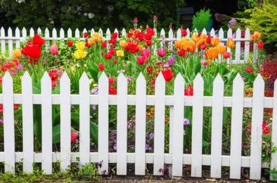 Illustration circumscribes