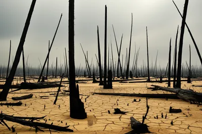 Illustration eradicated - Image 1