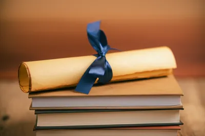 Illustration sheepskins - Image 1