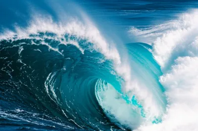 Illustration combs - Image 1