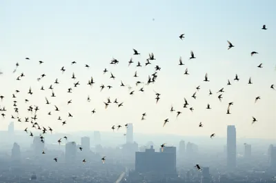 Illustration recurrent - Image 1