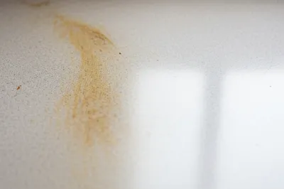 Illustration cleaner - Image 1