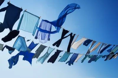 Illustration blew - Image 1