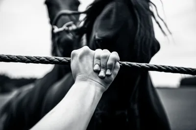 Illustration master - Image 1