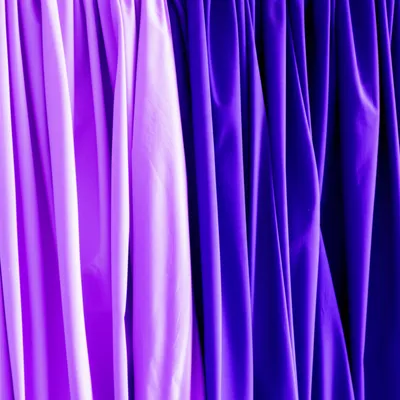 Hình ảnh minh họa violets - Ảnh 1