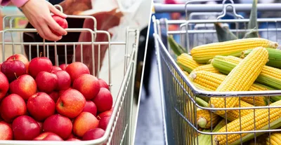 Illustration spreads - Image 1