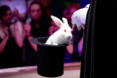 Illustration deceives