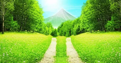 Illustration chances