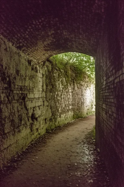 Illustration gallery - Image 1