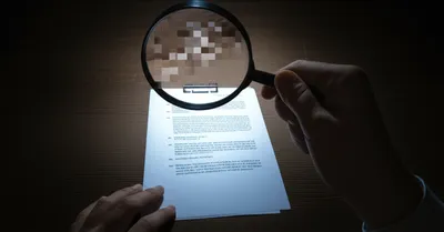 Illustration falsifies - Image 1