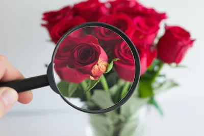 Illustration lacked - Image 1