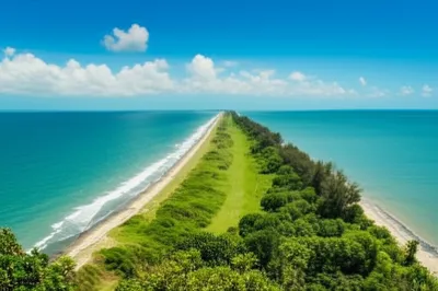 Illustration tongs - Image 1