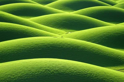 Illustration drum - Image 1