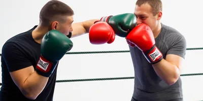 Illustration sparring - Image 1