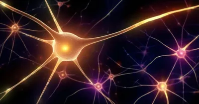 Illustration neurone - Image 1