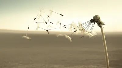 Illustration hang - Image 1