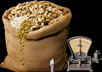 Illustration pockets - Image 1