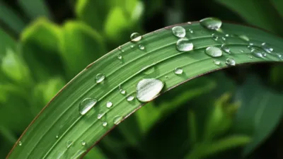 Illustration distilled - Image 1