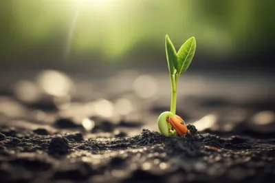 Illustration comes - Image 1