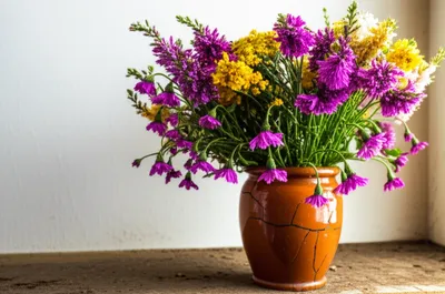 Illustration stale - Image 1