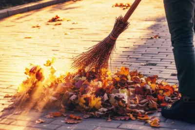 Illustration broom - Image 1