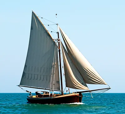 Illustration lugs - Image 1