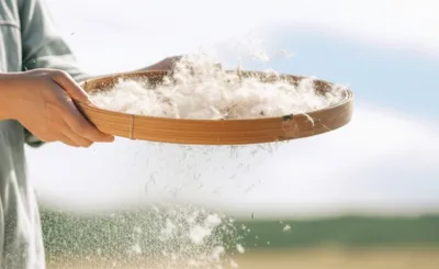 Illustration drove - Image 1