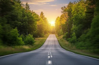 Illustration continuative - Image 1